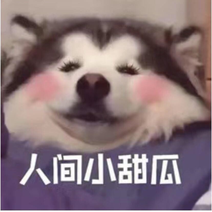 郑点小钱钱0824