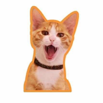 可爱多请喝咖啡