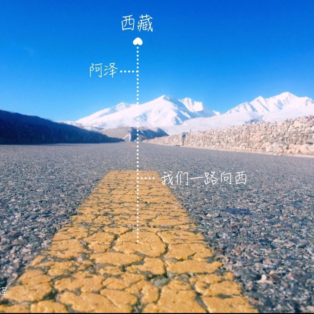 西藏新疆领队阿泽