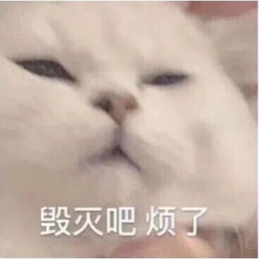 空白0451