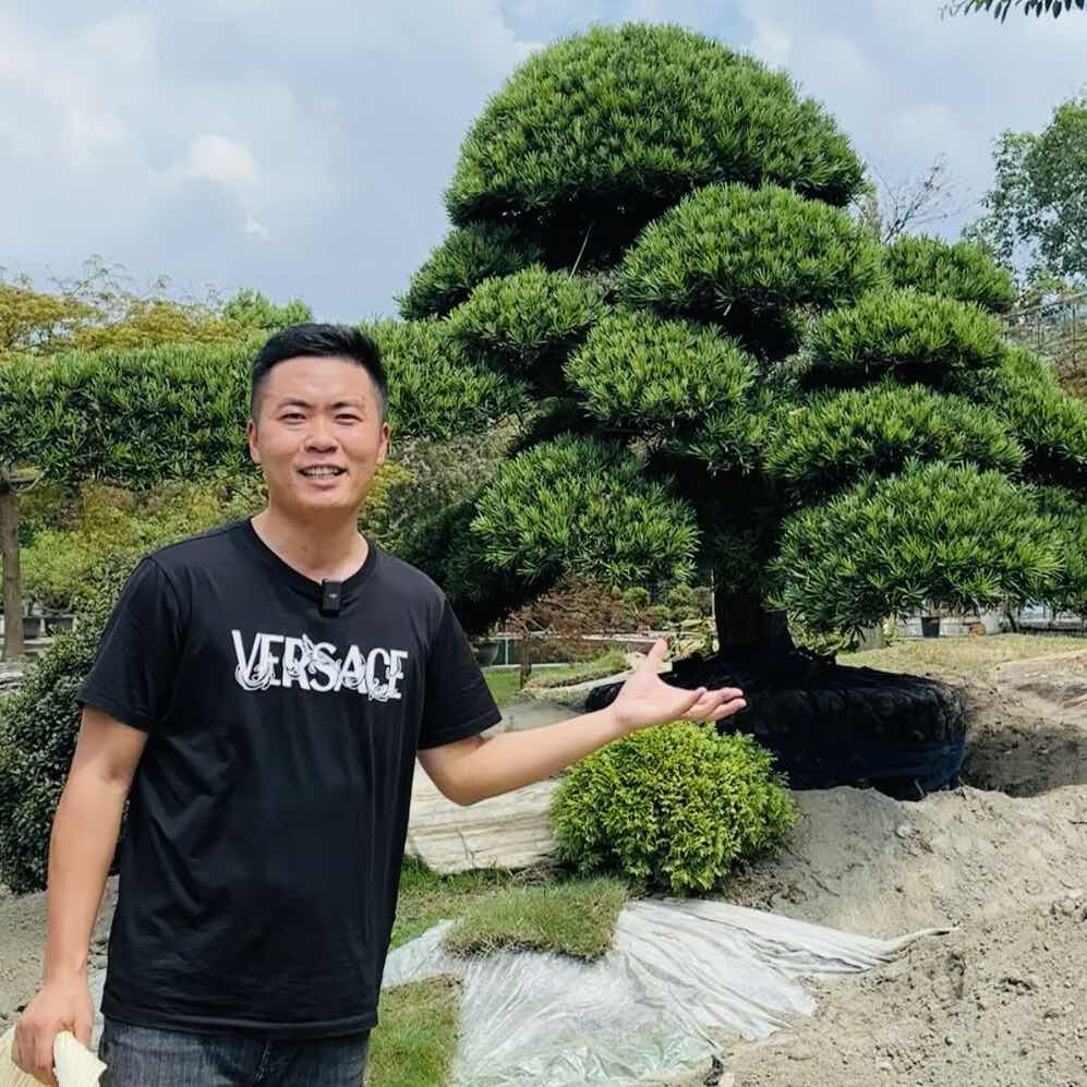 袁航园林供应链
