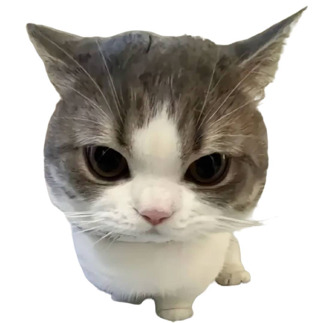 咸咸.-