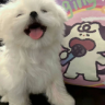 信号不耗2