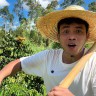 大源总粤西农村仔