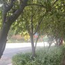 大展宏图11886