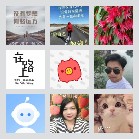 同乡顺—吉林拼车群3