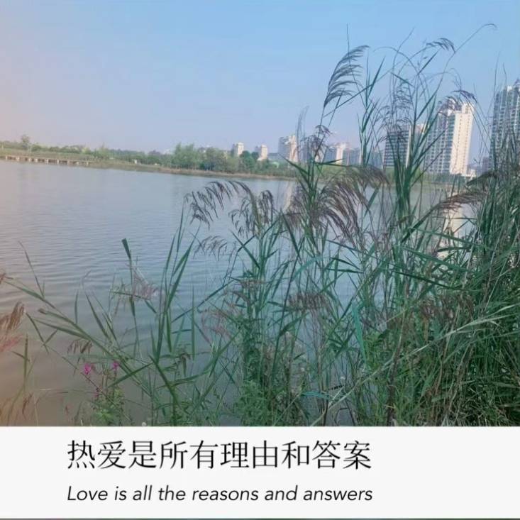 用戶頭像