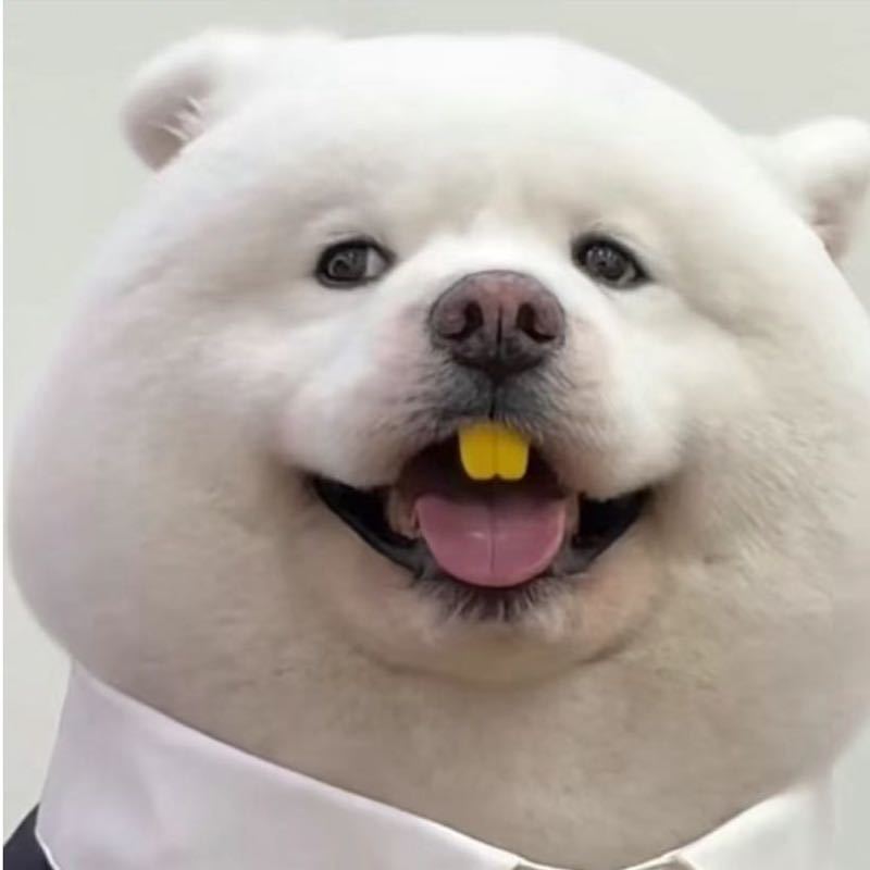 座头鲸