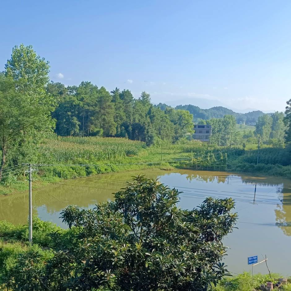 欧阳峰