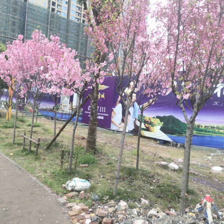 用戶頭像