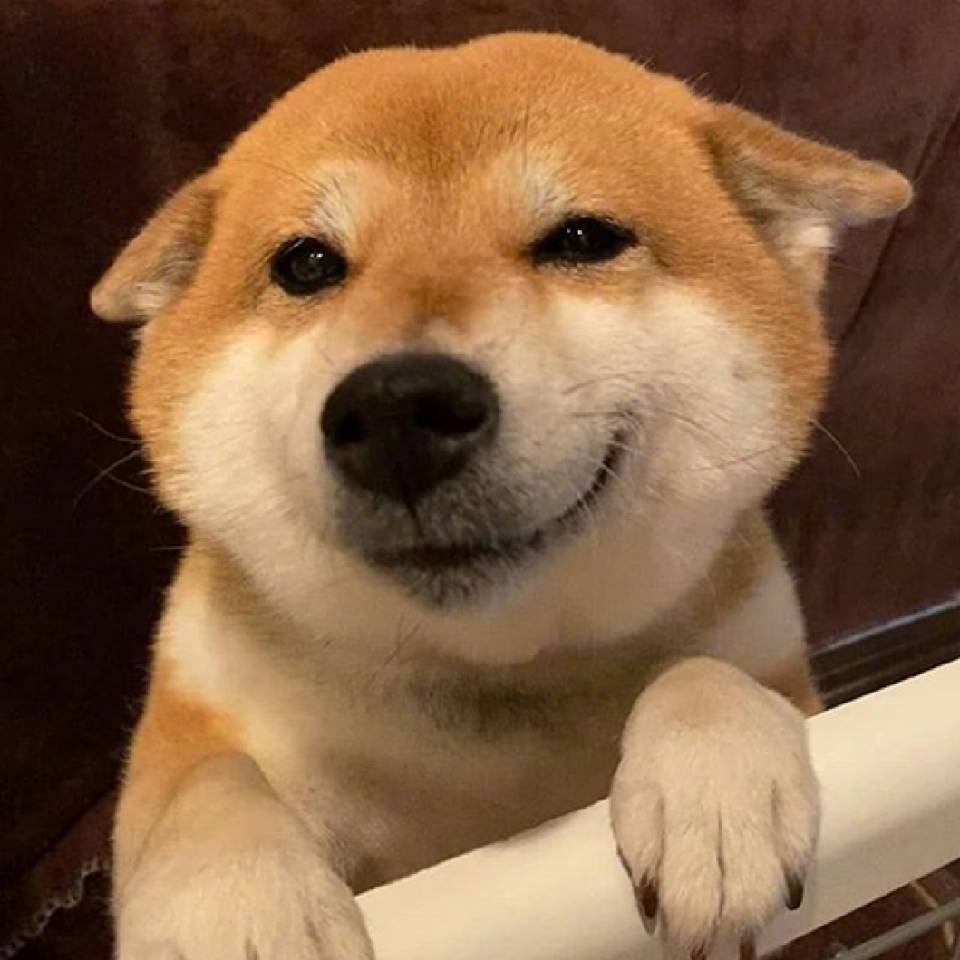  桃亭