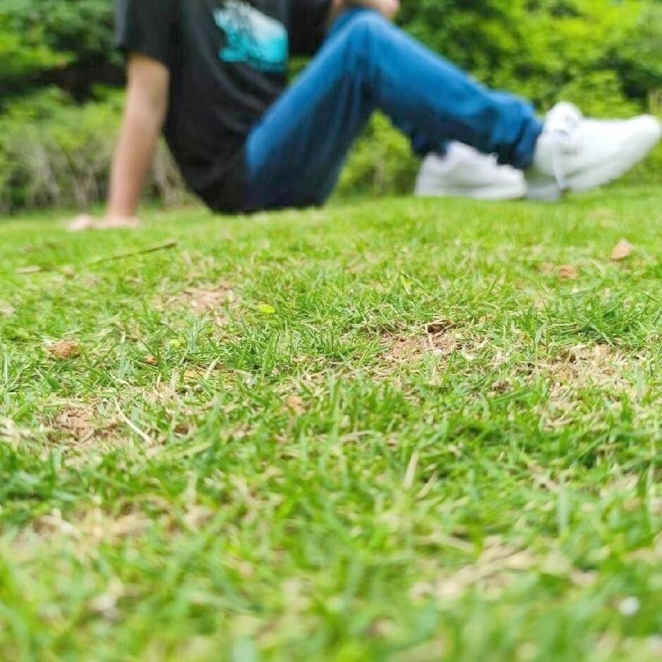 陈