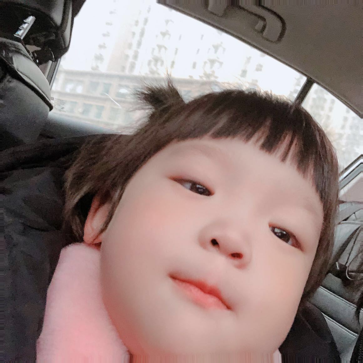 蒲蒲
