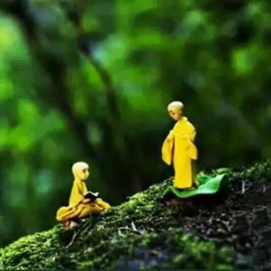 惟照