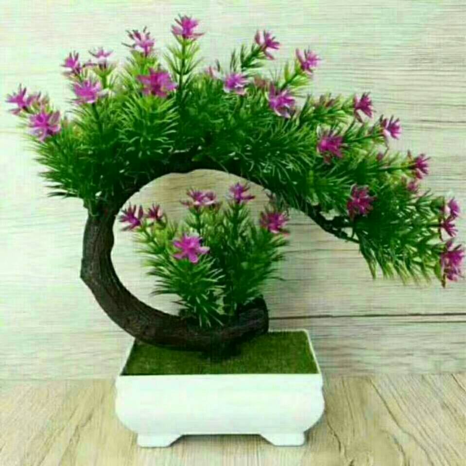笑口常开এ᭄芹ོꦿృ༊🦋🕊