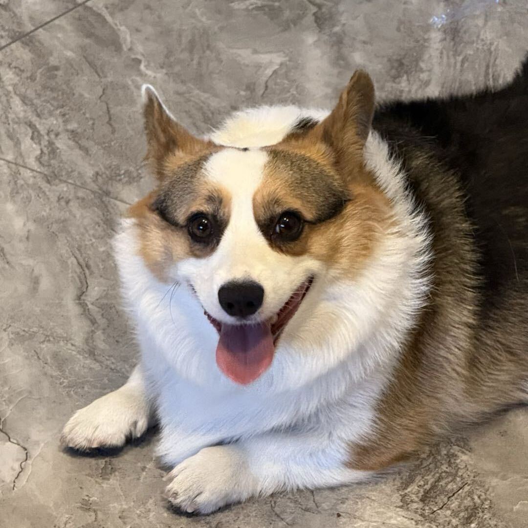 💫赵珊珊