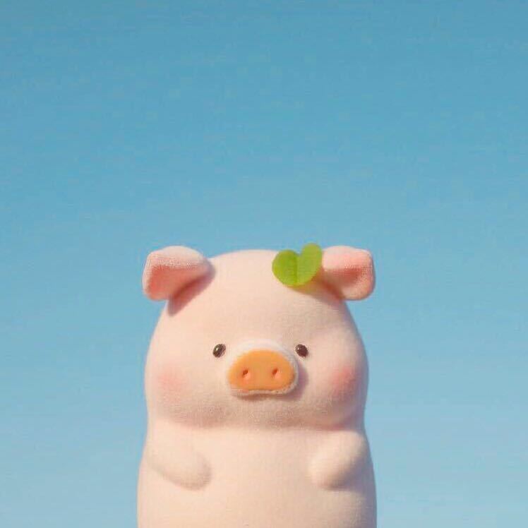 喵