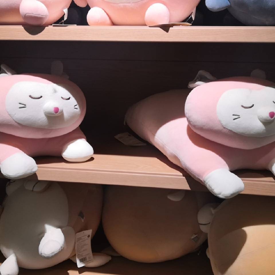 用戶頭像