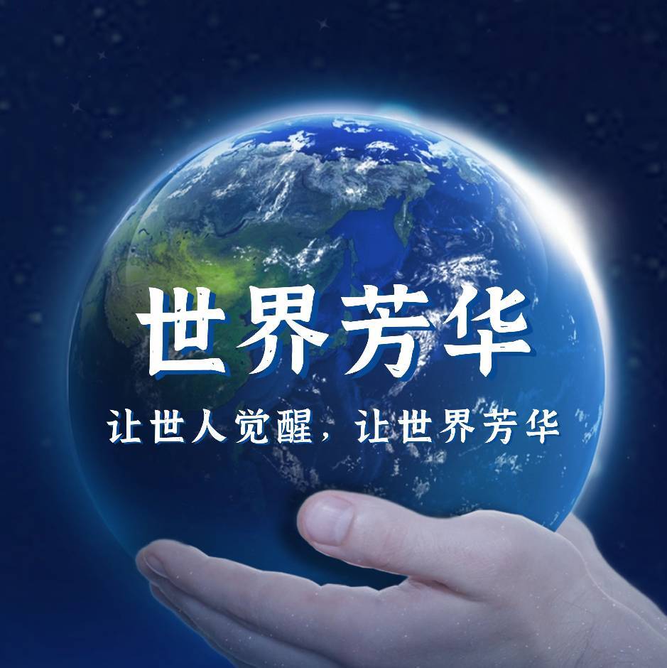 世界芳华