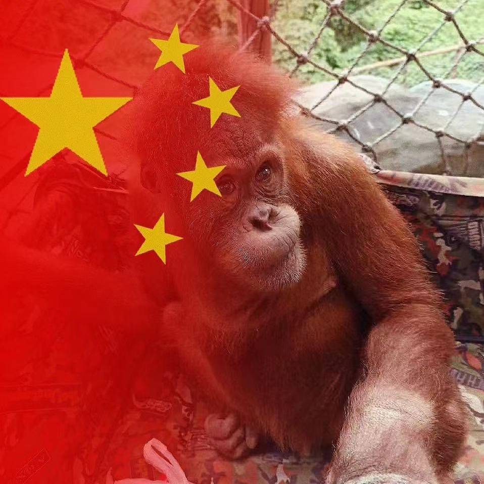 东少您吉祥