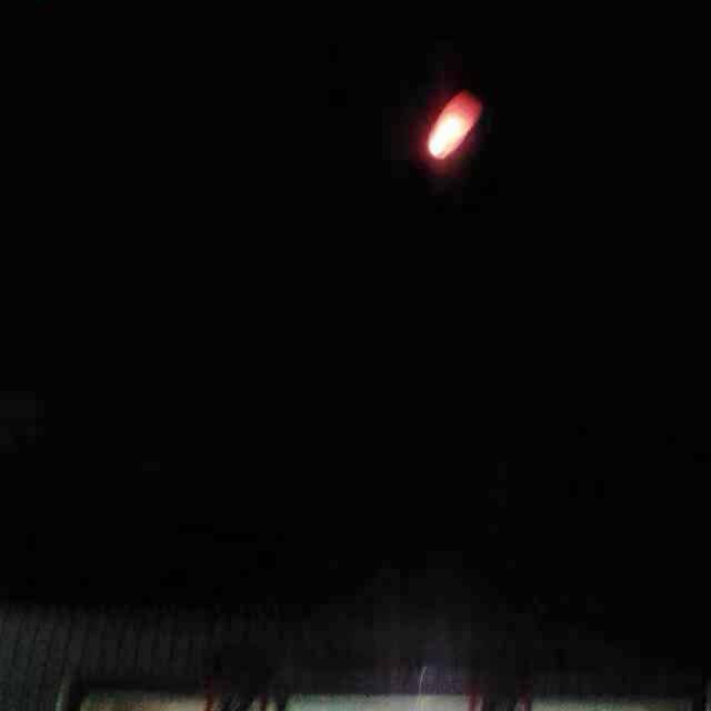 封闭货车上的Zoey