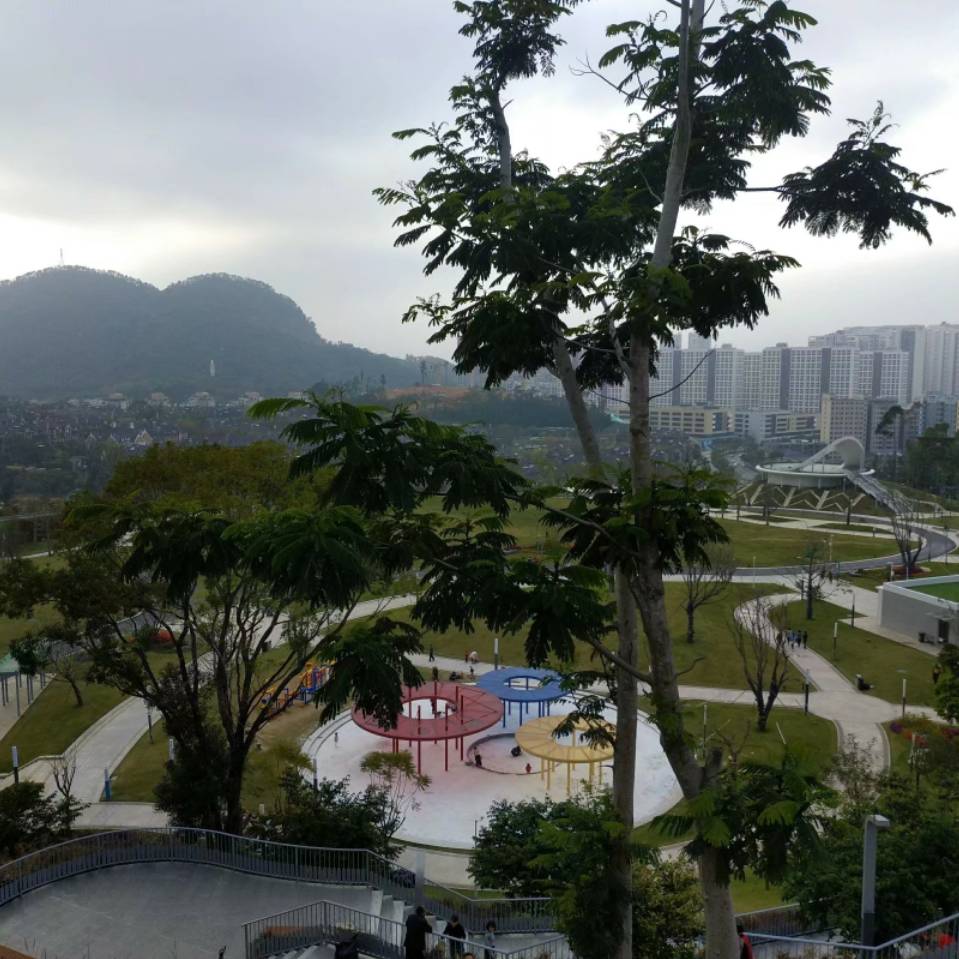 林林