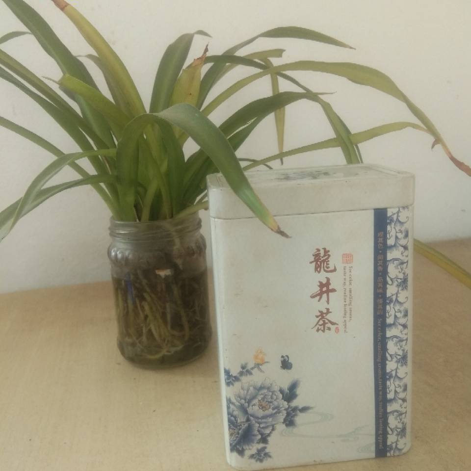 逗🙈你🎒玩