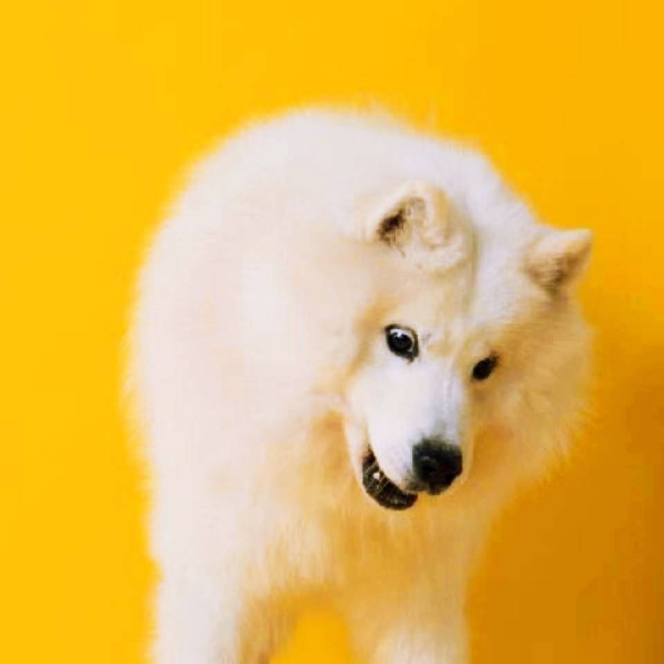 十年