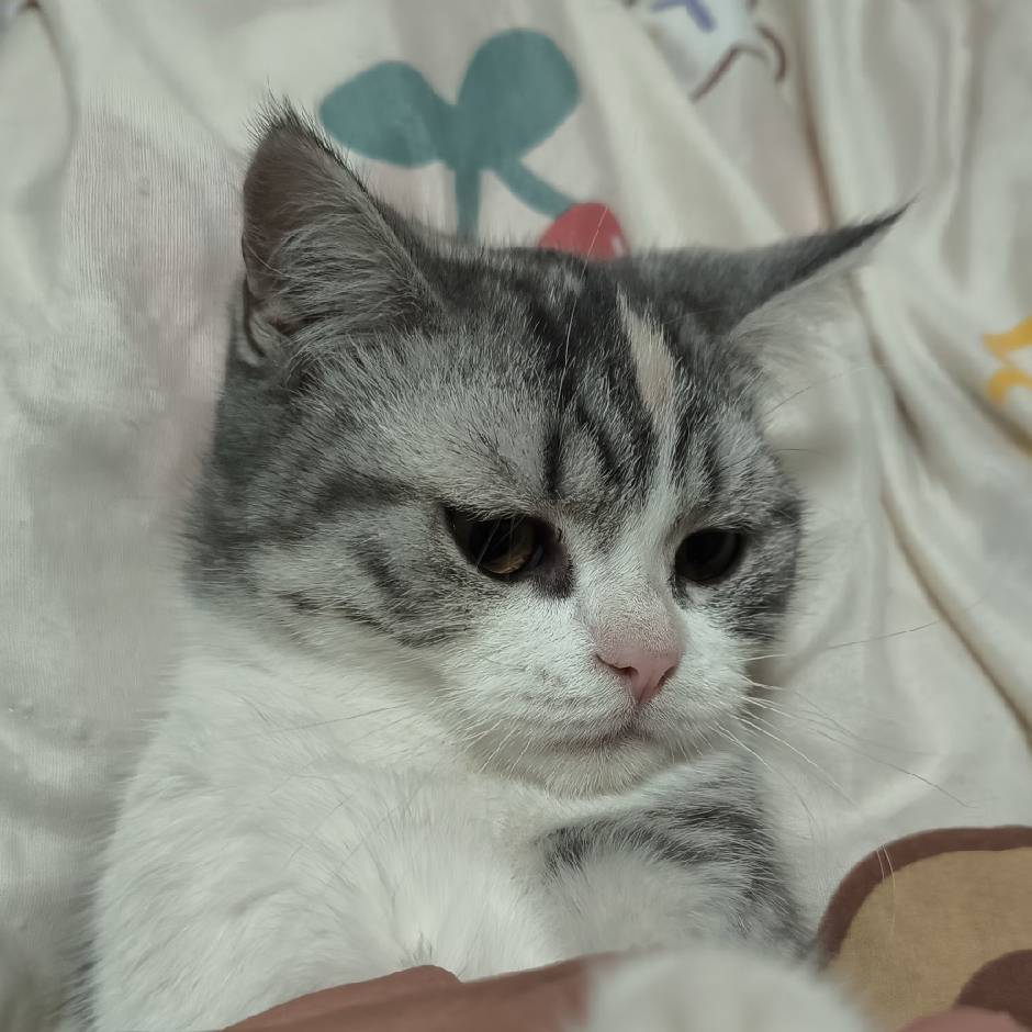六时三分一