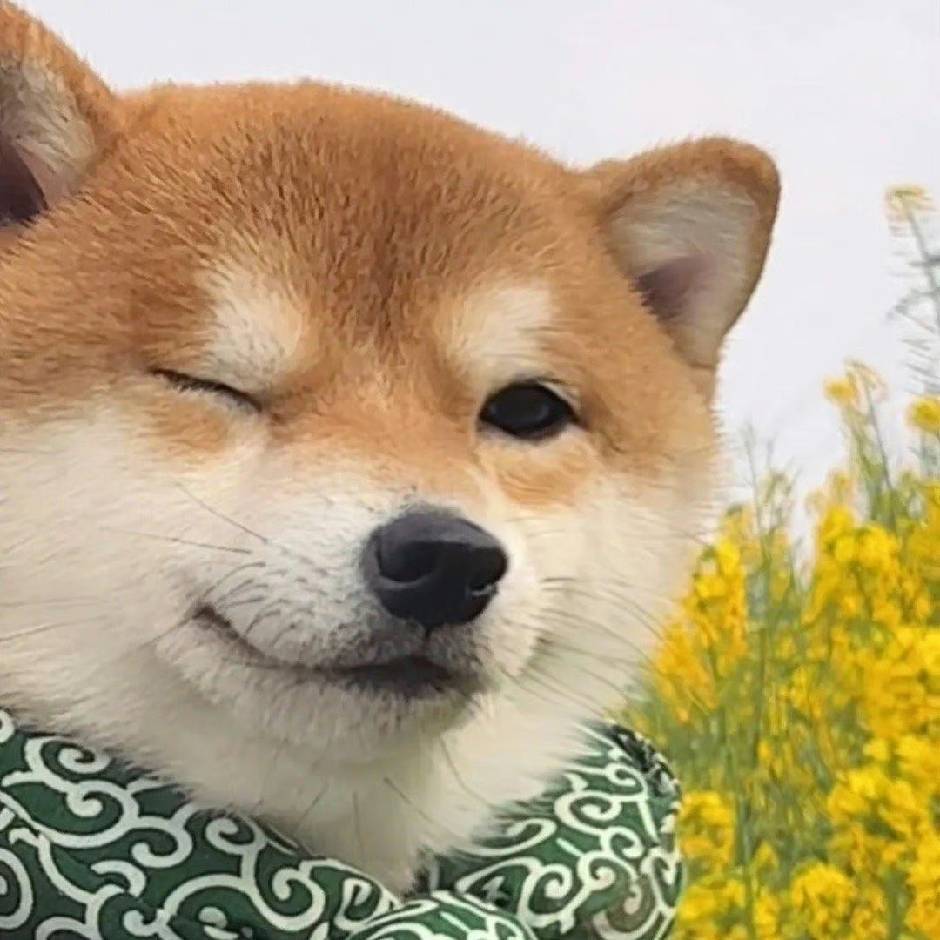 秋水