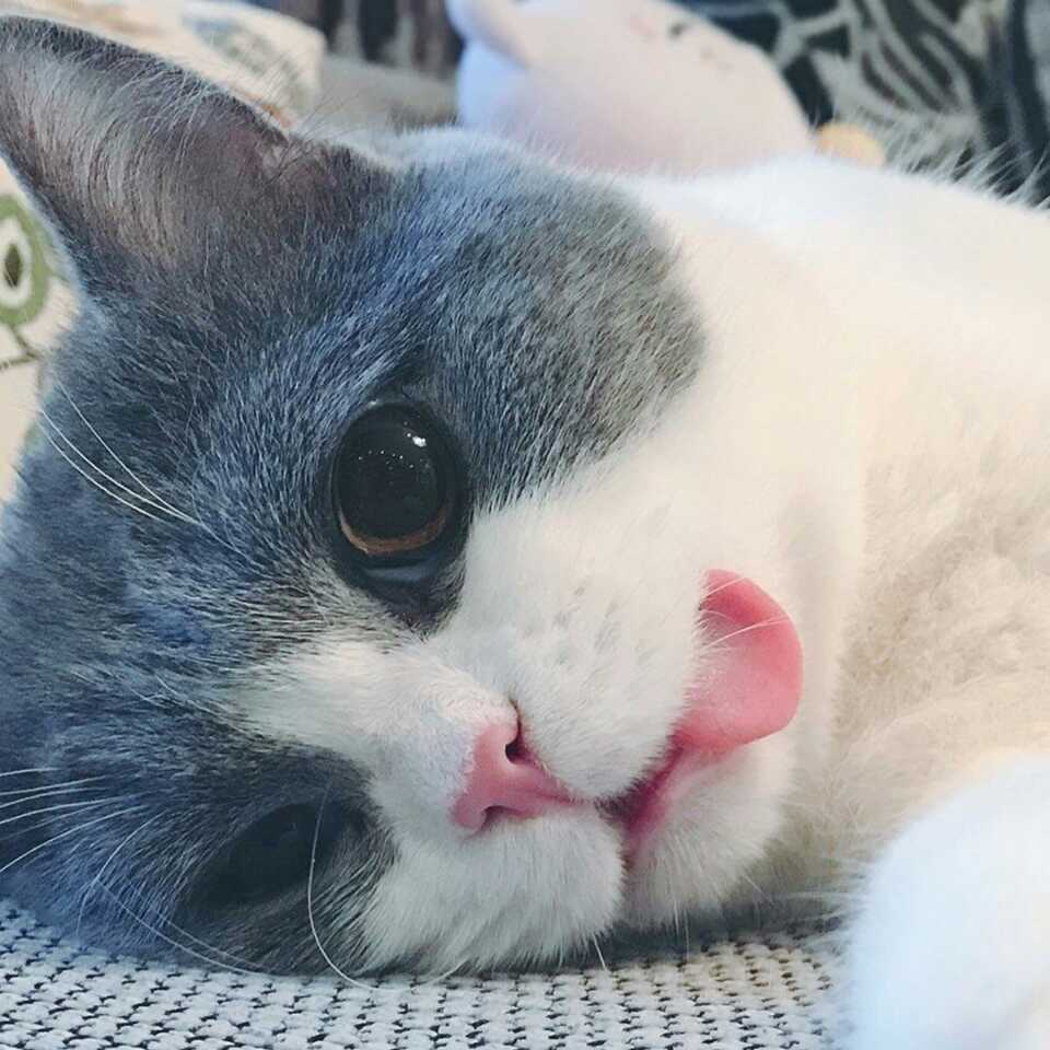 Alan
