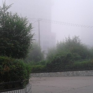 没啥存在感