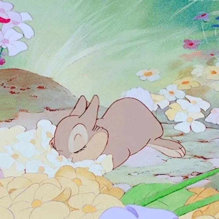 森四提五