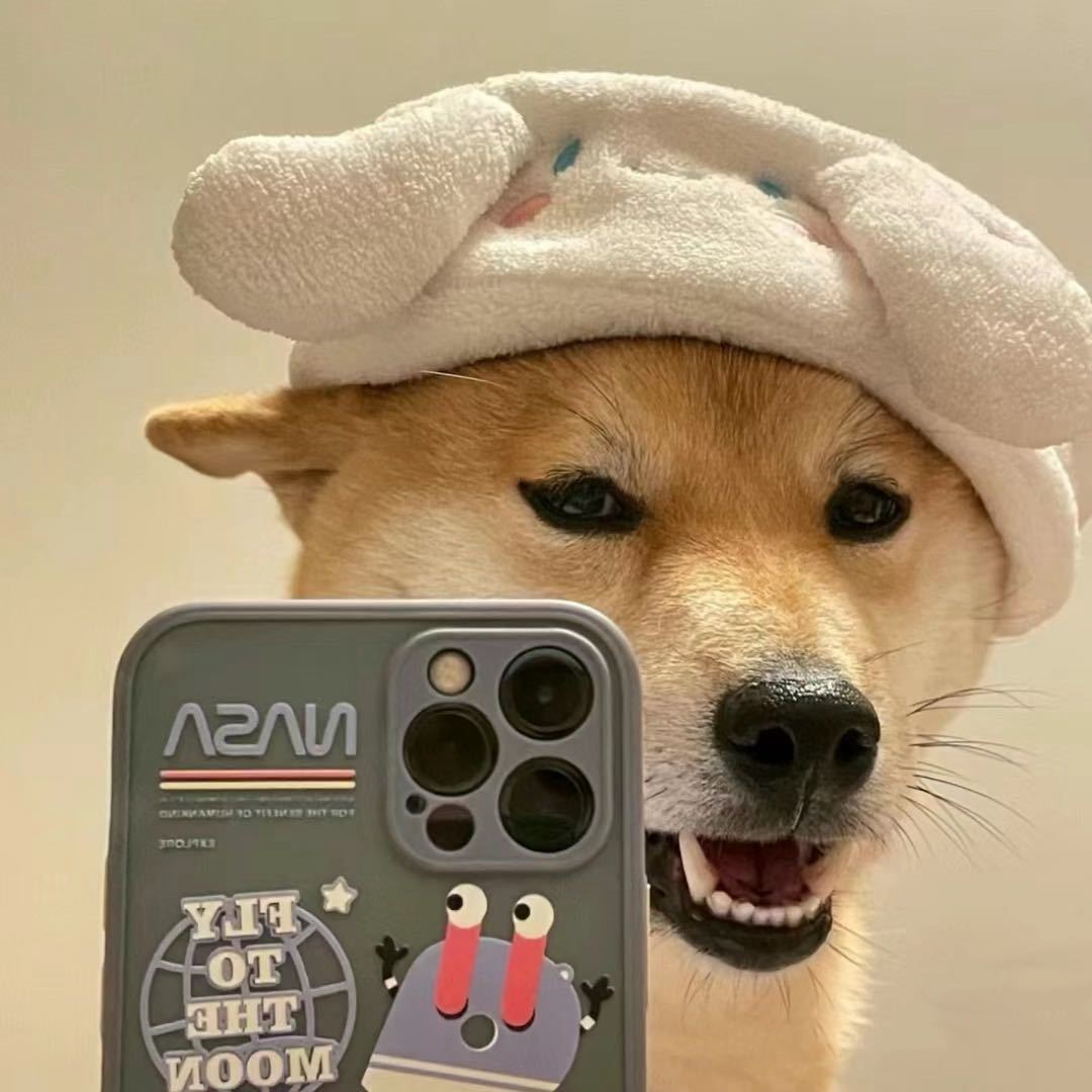 宝龙