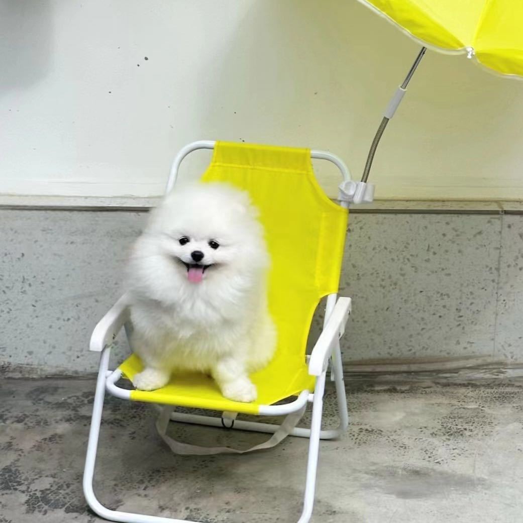 大熊