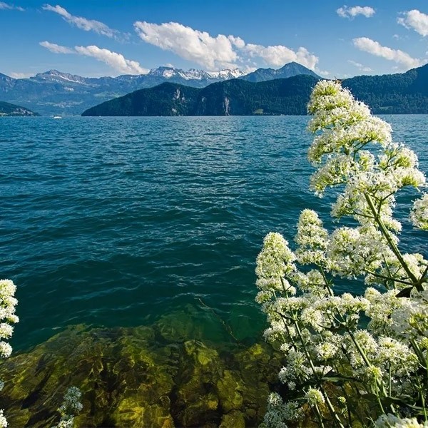 小淘-淘宝返利专家