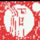 无锡旅游季清芝
