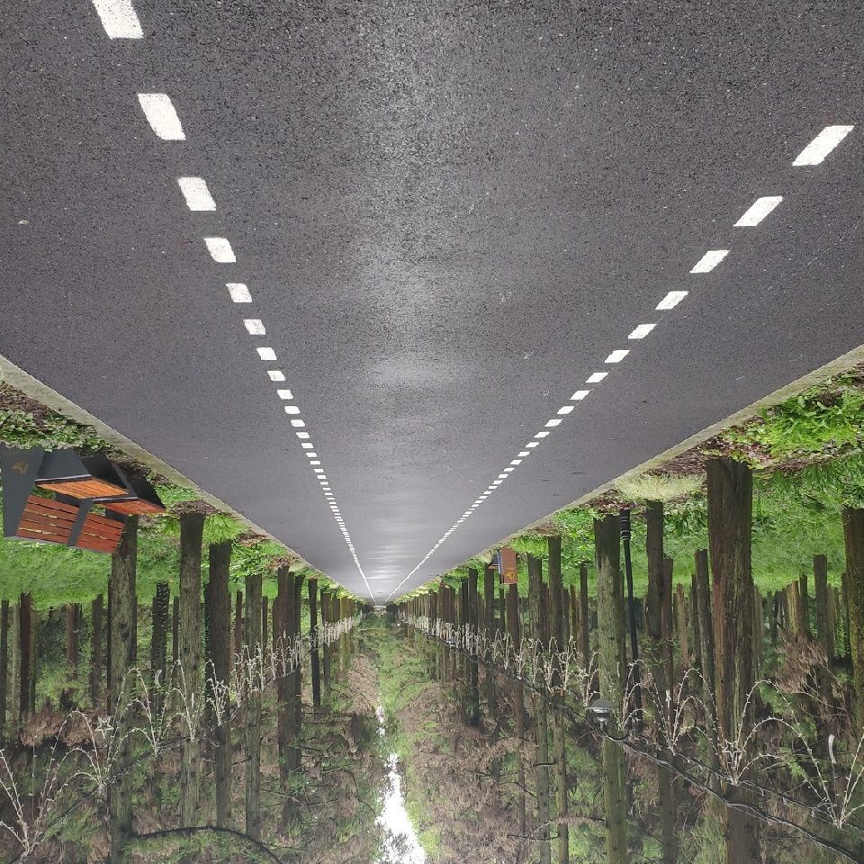 门