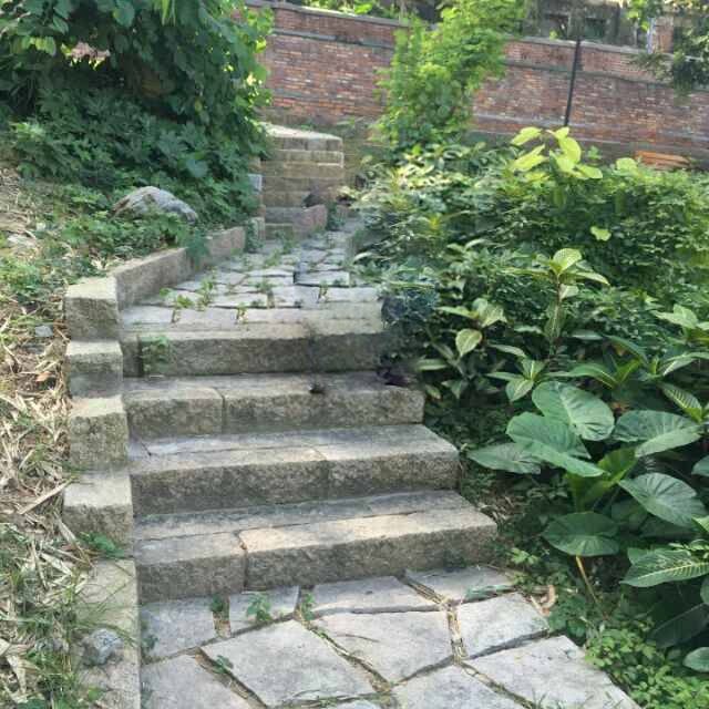 李勇强