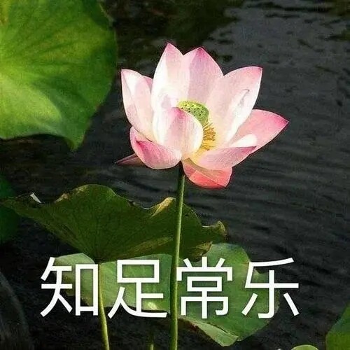 葫芦娃是条狗