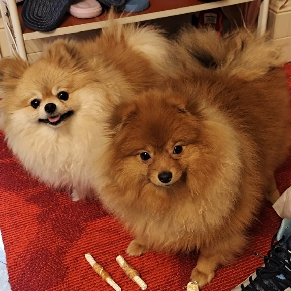 用戶頭像