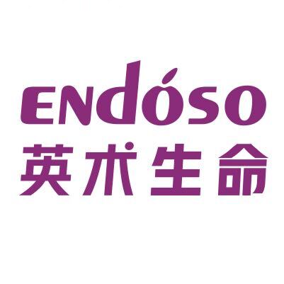 Endoso英术-Marketing19106779120
