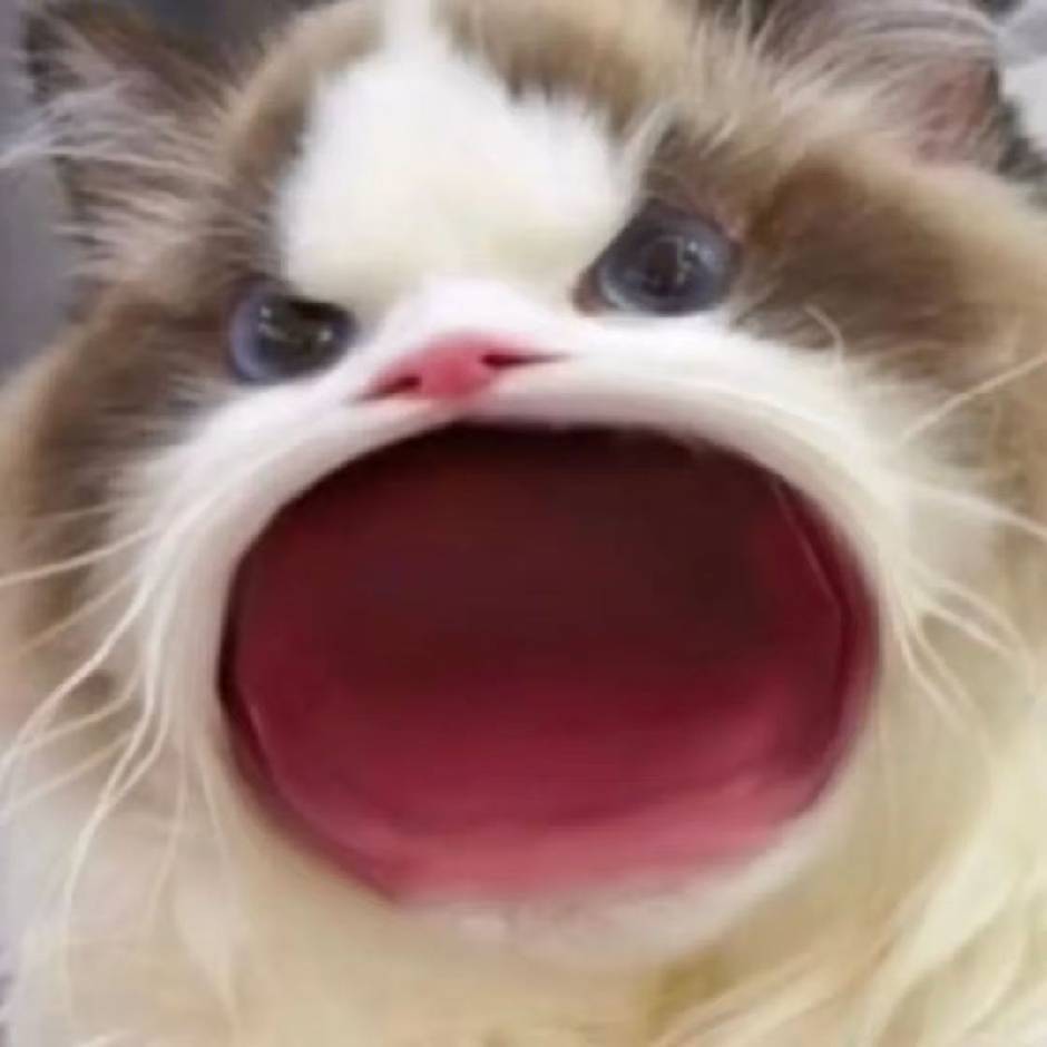 小旭