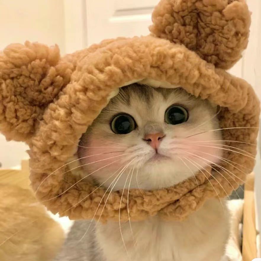 🍐小考拉🥛🐨
