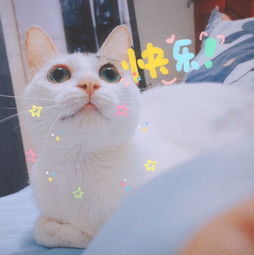 知知