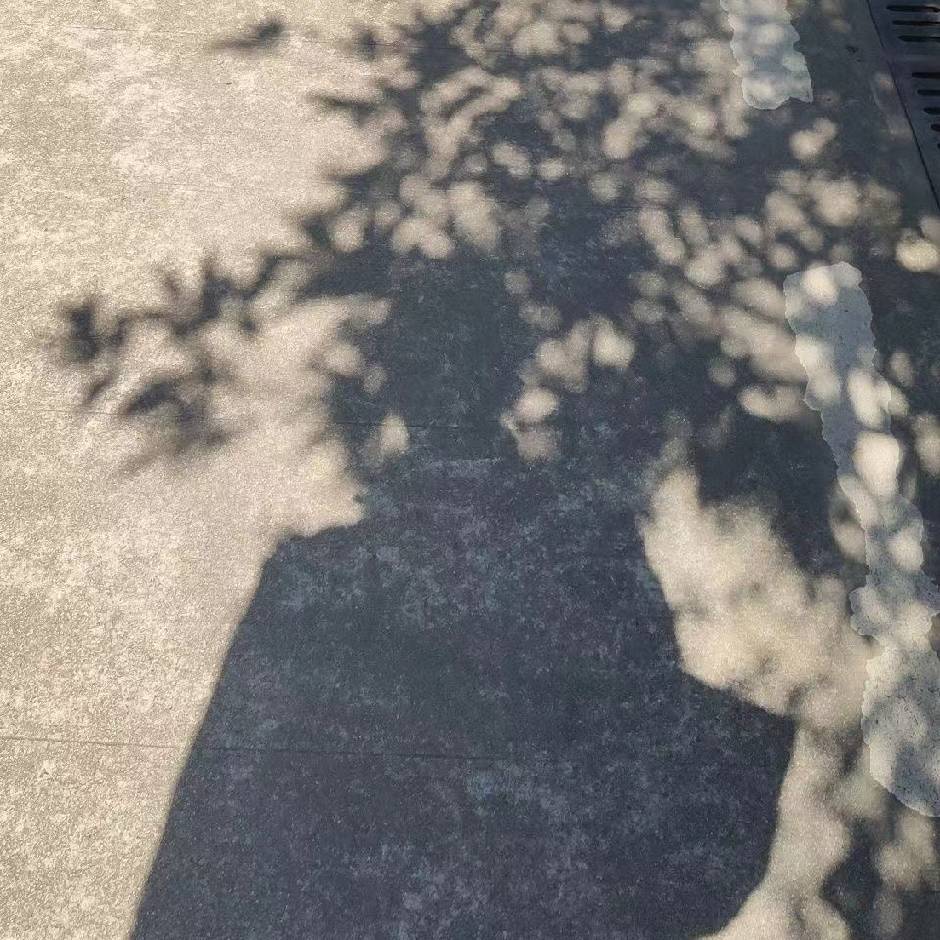陈