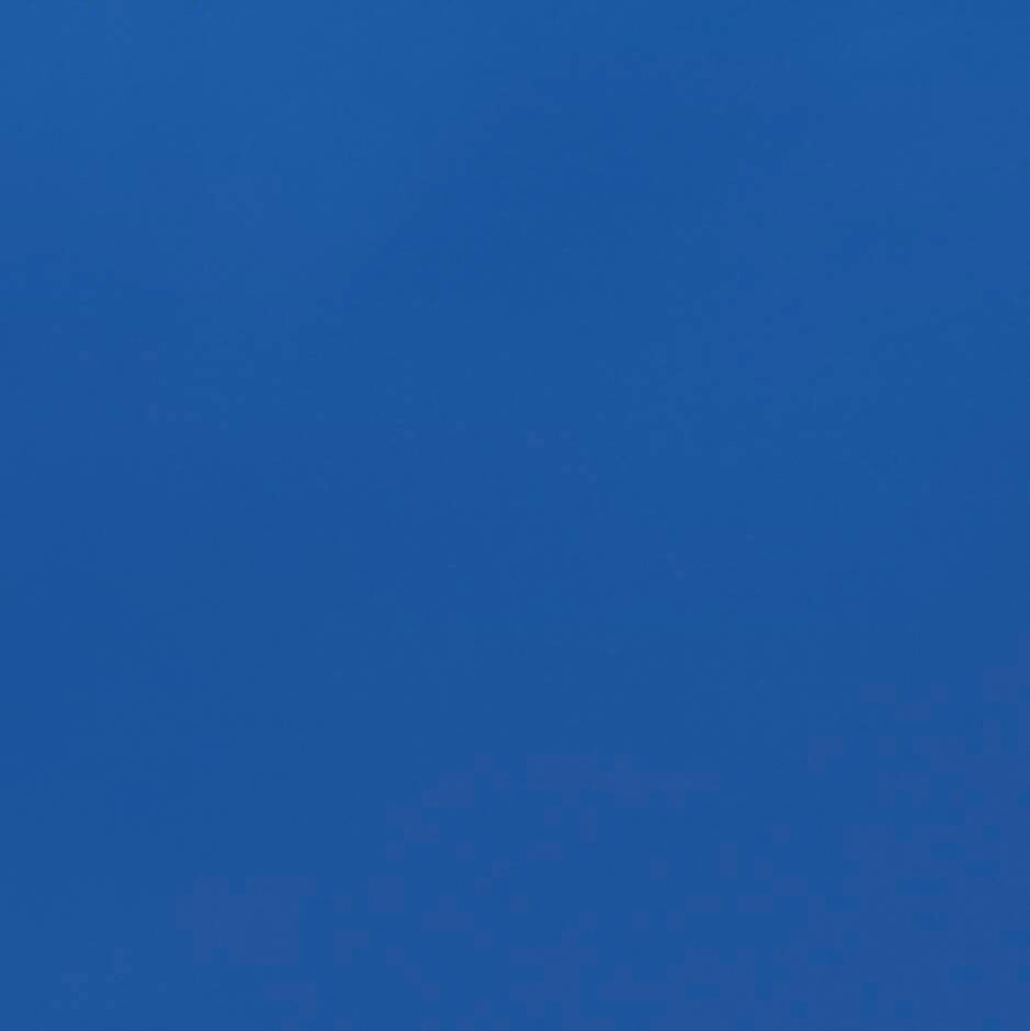 WS