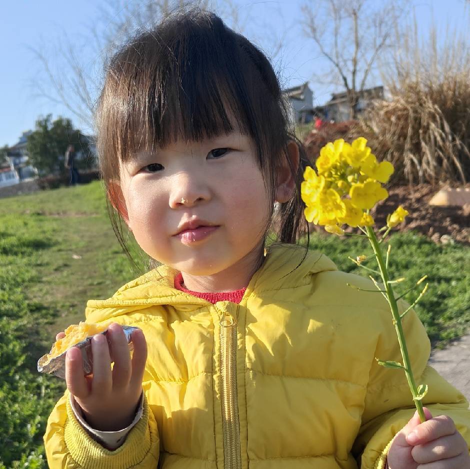 壹吴
