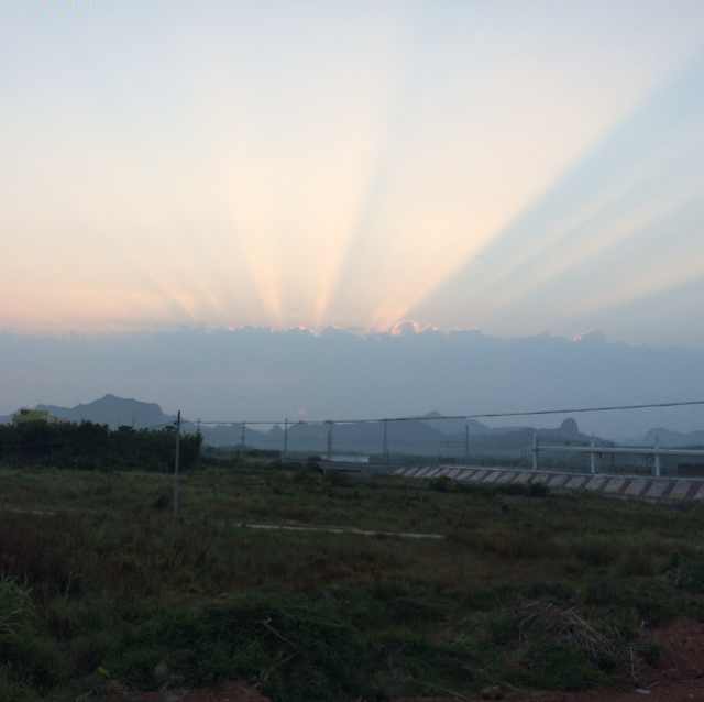 王东林