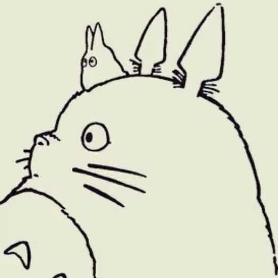 狂奔的兔